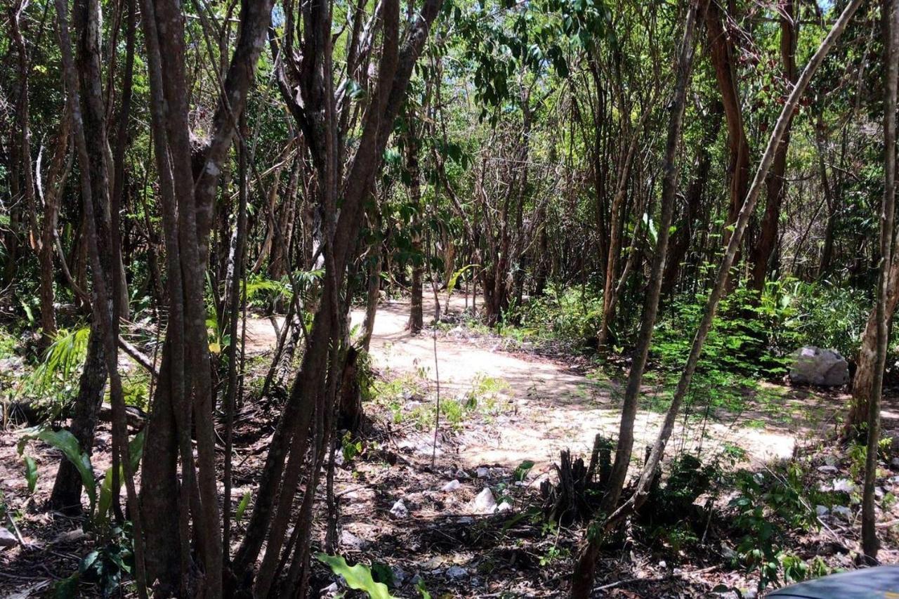 Tulum Nueve Hotell Eksteriør bilde