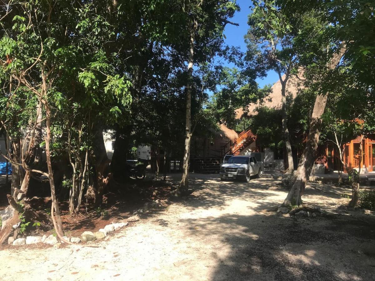 Tulum Nueve Hotell Eksteriør bilde