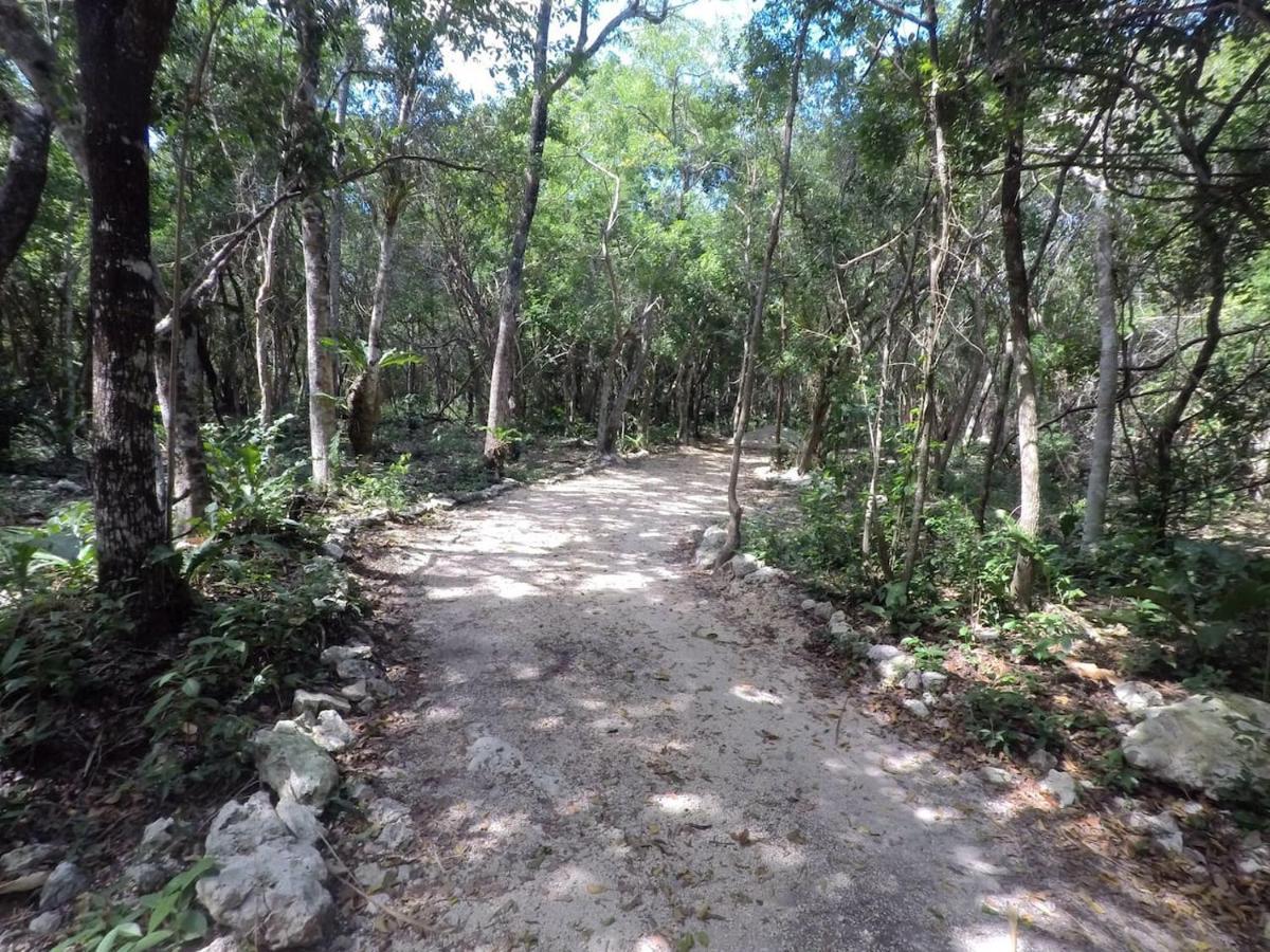 Tulum Nueve Hotell Eksteriør bilde